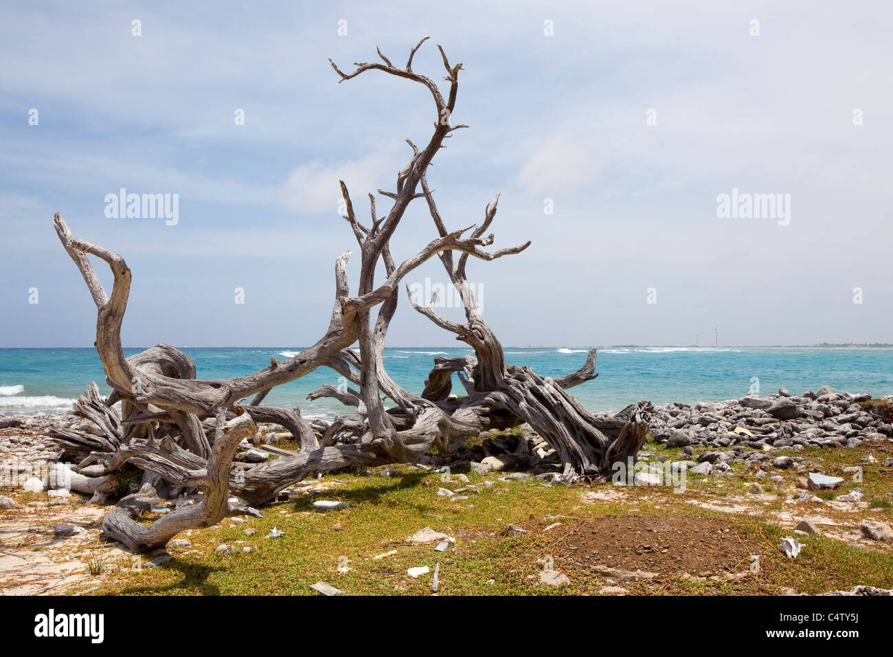 Landschaft in Bonaire auf der Südseite mit Blick auf Lac Bay. Niederländische Antillen. Foto V.D. Stockfoto