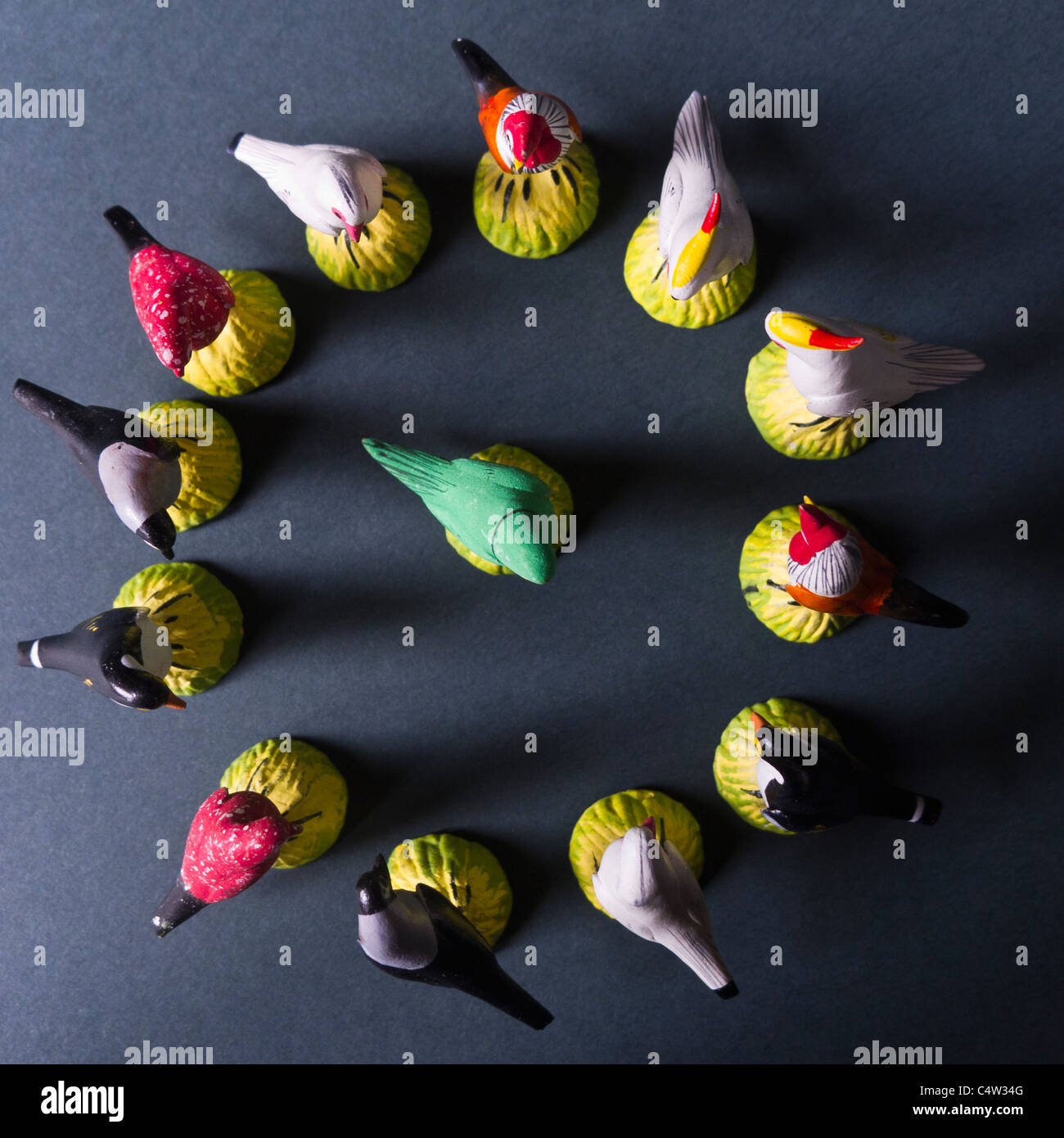 Miniaturmodelle der Vögel in einem Kreis mit einem in der Mitte angeordnet. Stockfoto