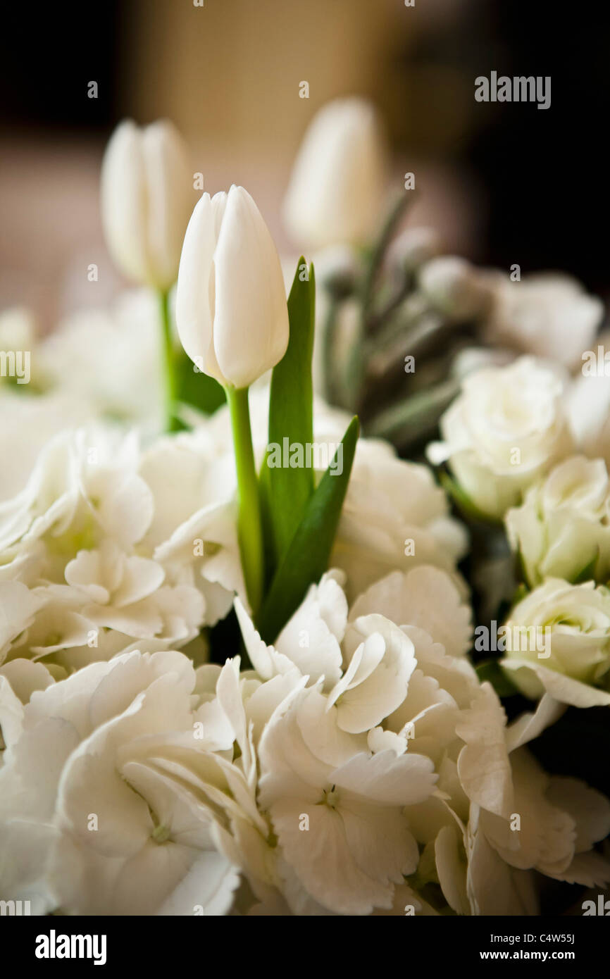 Blumenstrauß aus den weißen Blüten Stockfoto