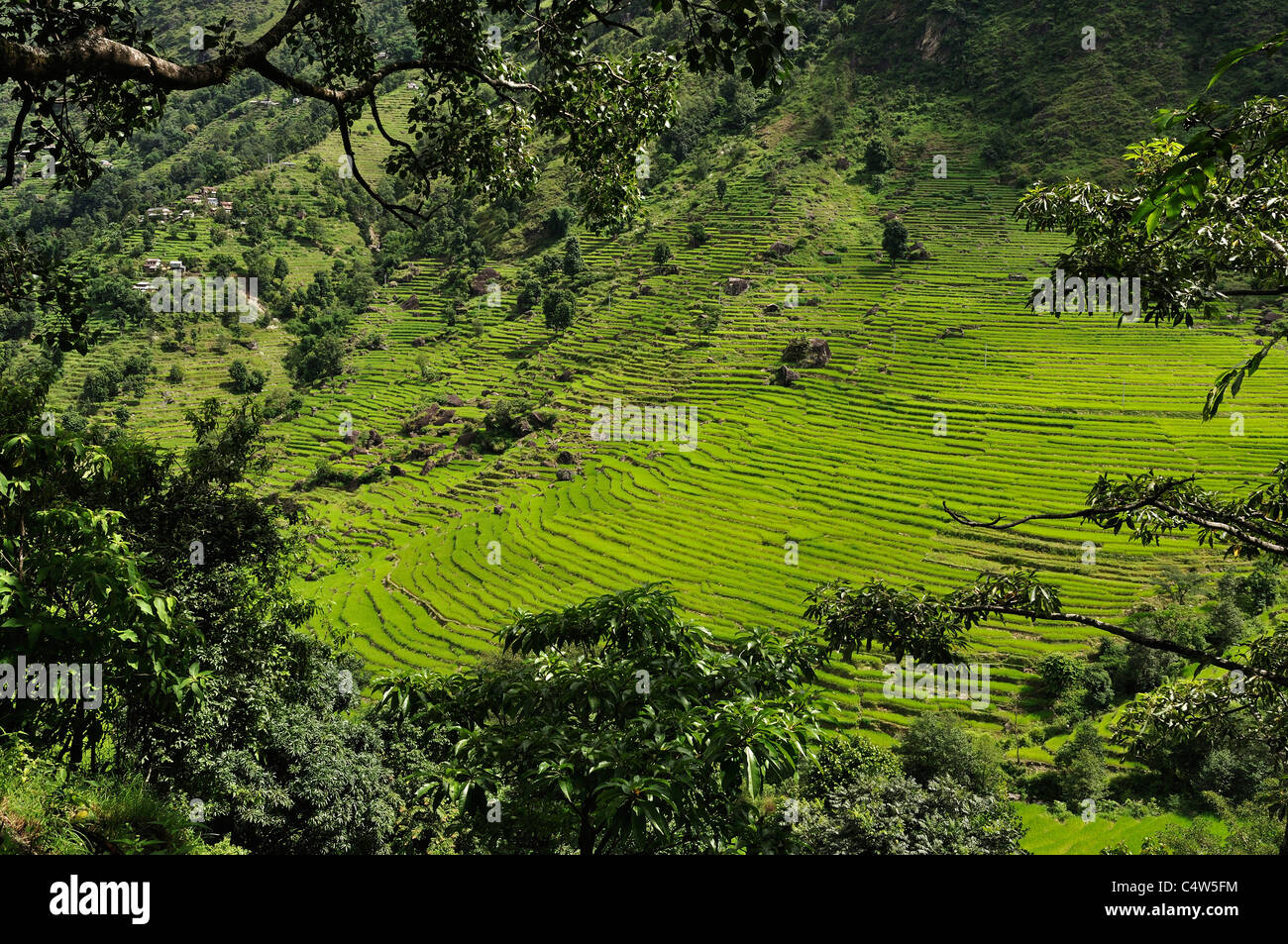 Marsyangdi River Valley, Pashchimanchal, Nepal, Annapurna Conservation Area, Gandaki Stockfoto