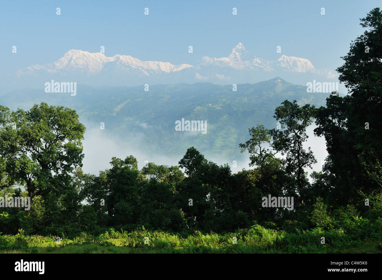 Annapurna Himal und Machapuchare Blick vom Friedenspagode, Pokhara, Gandaki, Pashchimanchal, Nepal Stockfoto