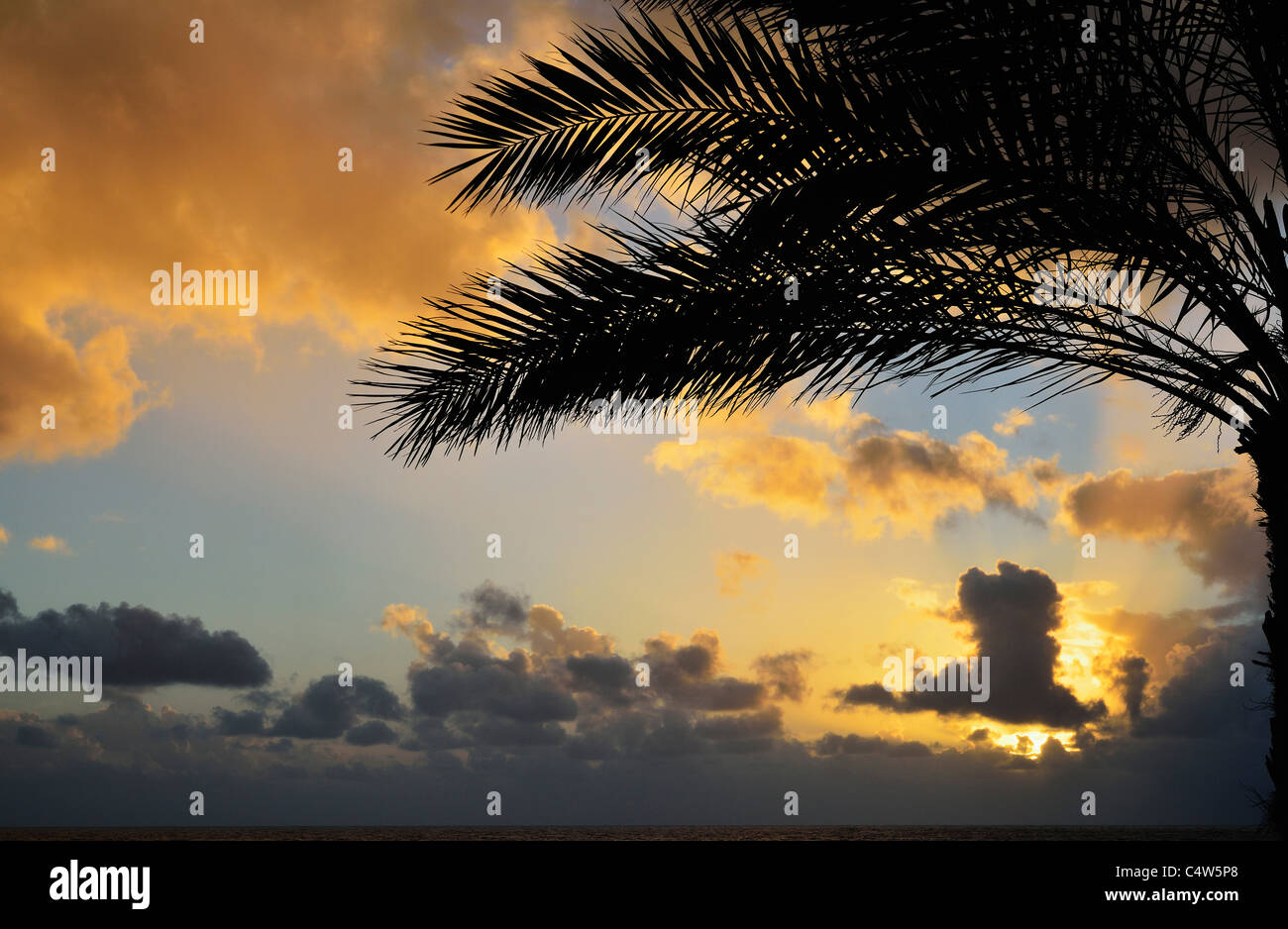 Sonnenuntergang über dem Atlantik, Madeira, Portugal Stockfoto