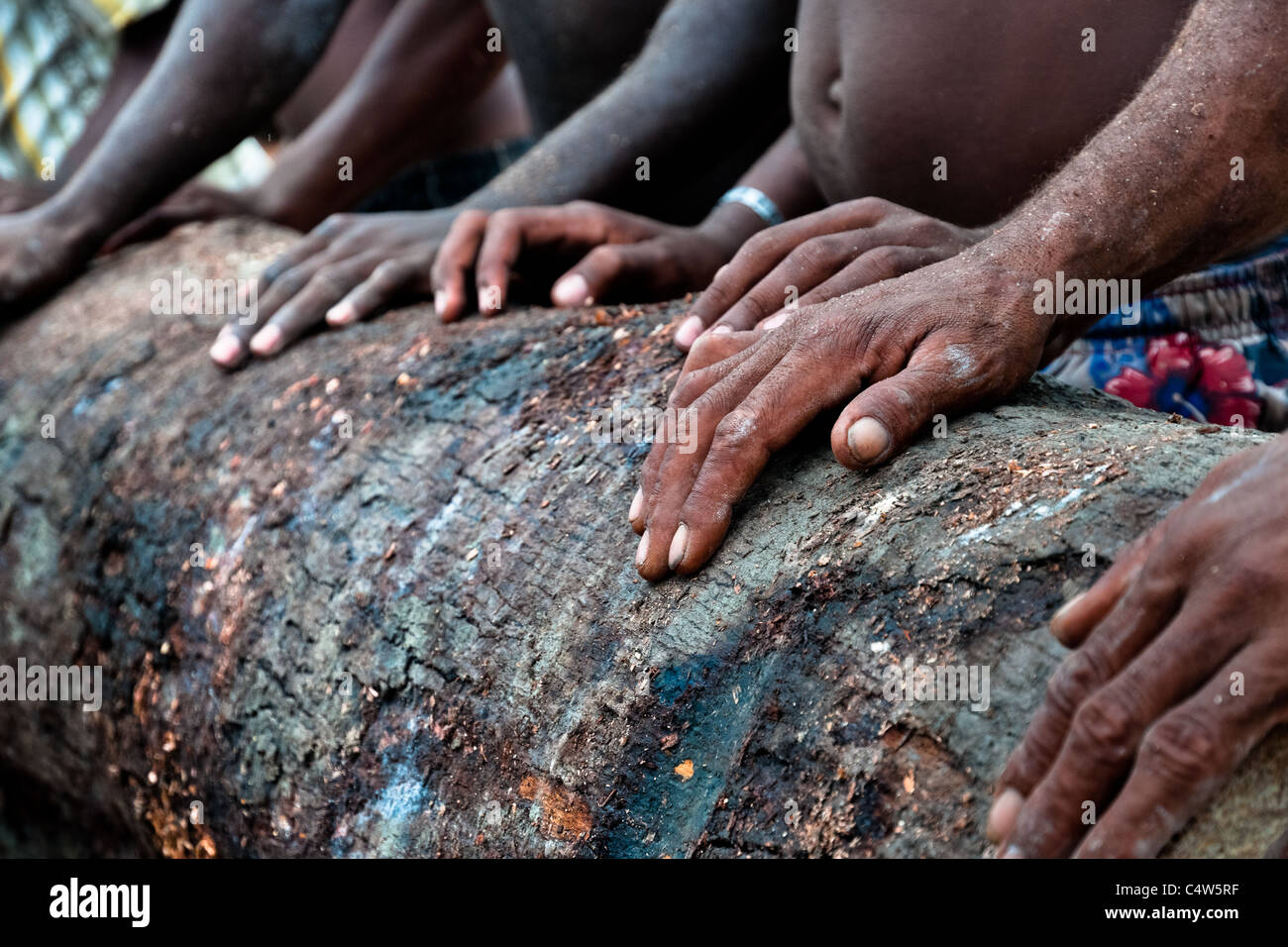 Kolumbianische Arbeiter Rollen ein Protokoll aus dem pazifischen Regenwald in einem Sägewerk in Tumaco, Kolumbien. Stockfoto