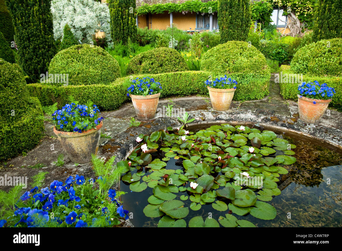 Topiary hedging Fotos und Bildmaterial in hoher Auflösung Alamy