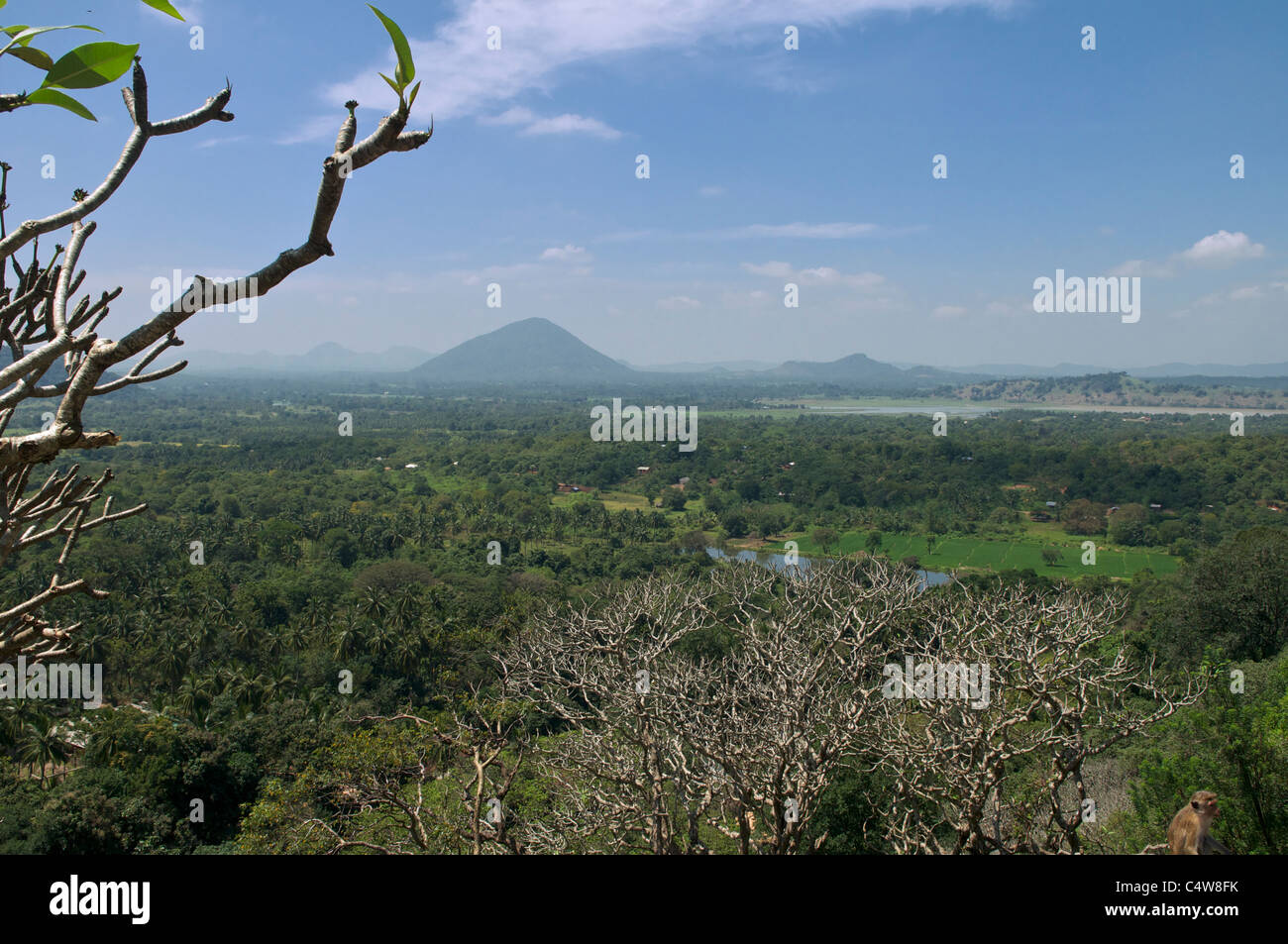 Panoramablick auf die Landschaft von außen nach Dambulla Höhlen kulturelle Dreieck Sri Lanka Stockfoto