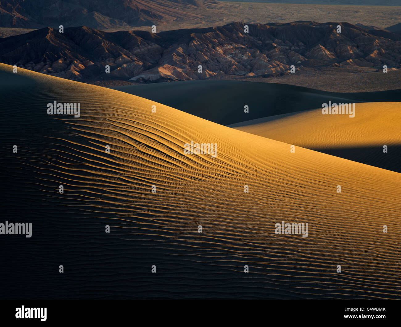 Erste Licht auf Sanddünen. Death Valley Nationalpark, Kalifornien Stockfoto