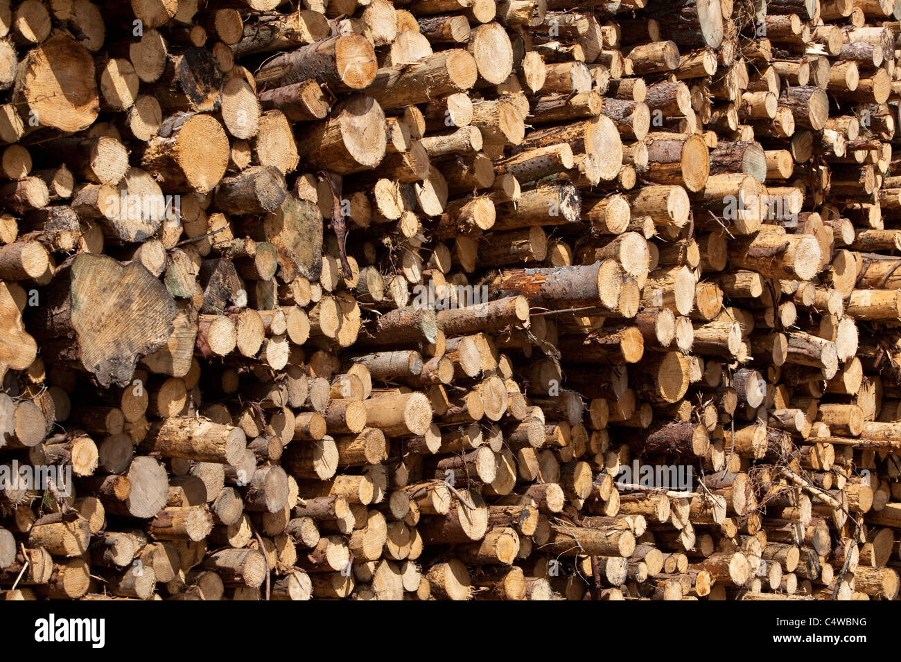 Die Holzfällerindustrie stapelte Holz, das aus lokalen Wäldern geschnitten wurde und auf den Export am Kai wartete, in den Montrose Docks Scotland UK Stockfoto