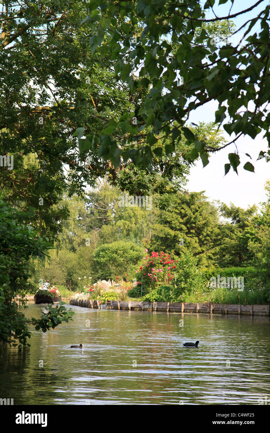 Hortillonnage in Amiens Stockfoto