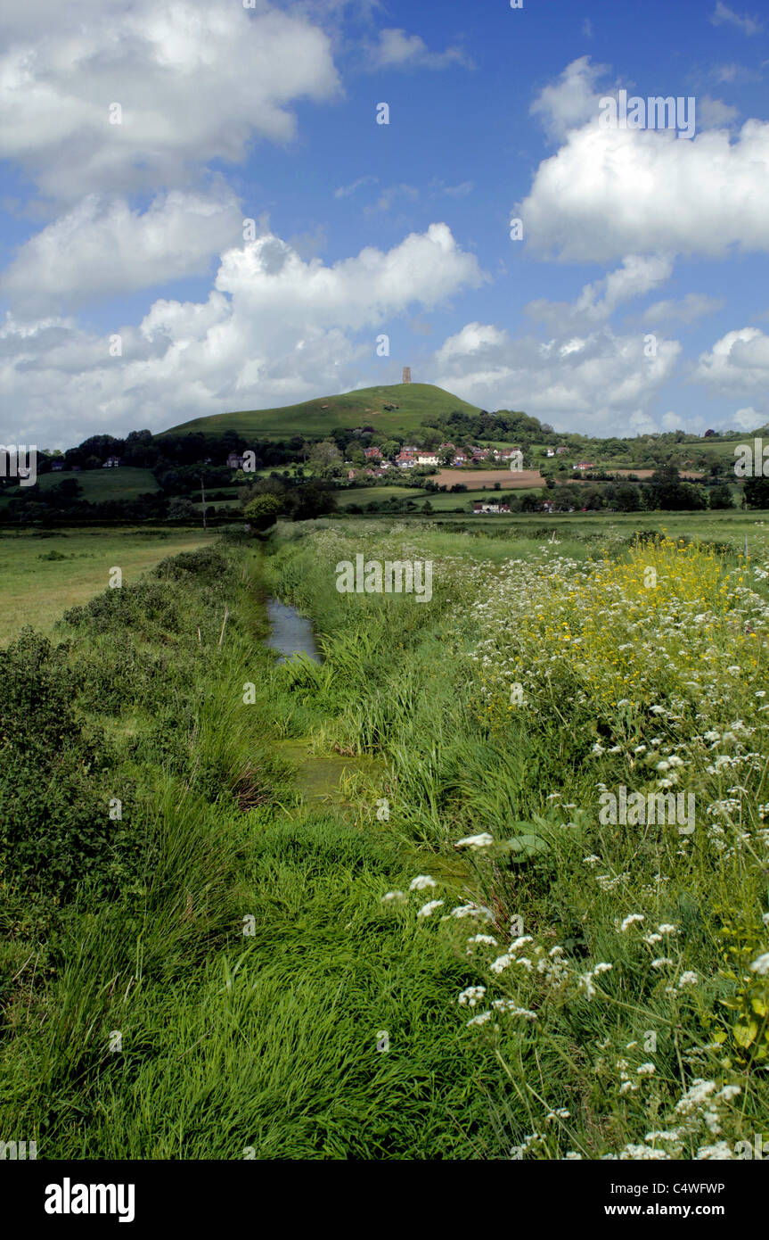 Glastonbury Tor, Somerset, Großbritannien Stockfoto