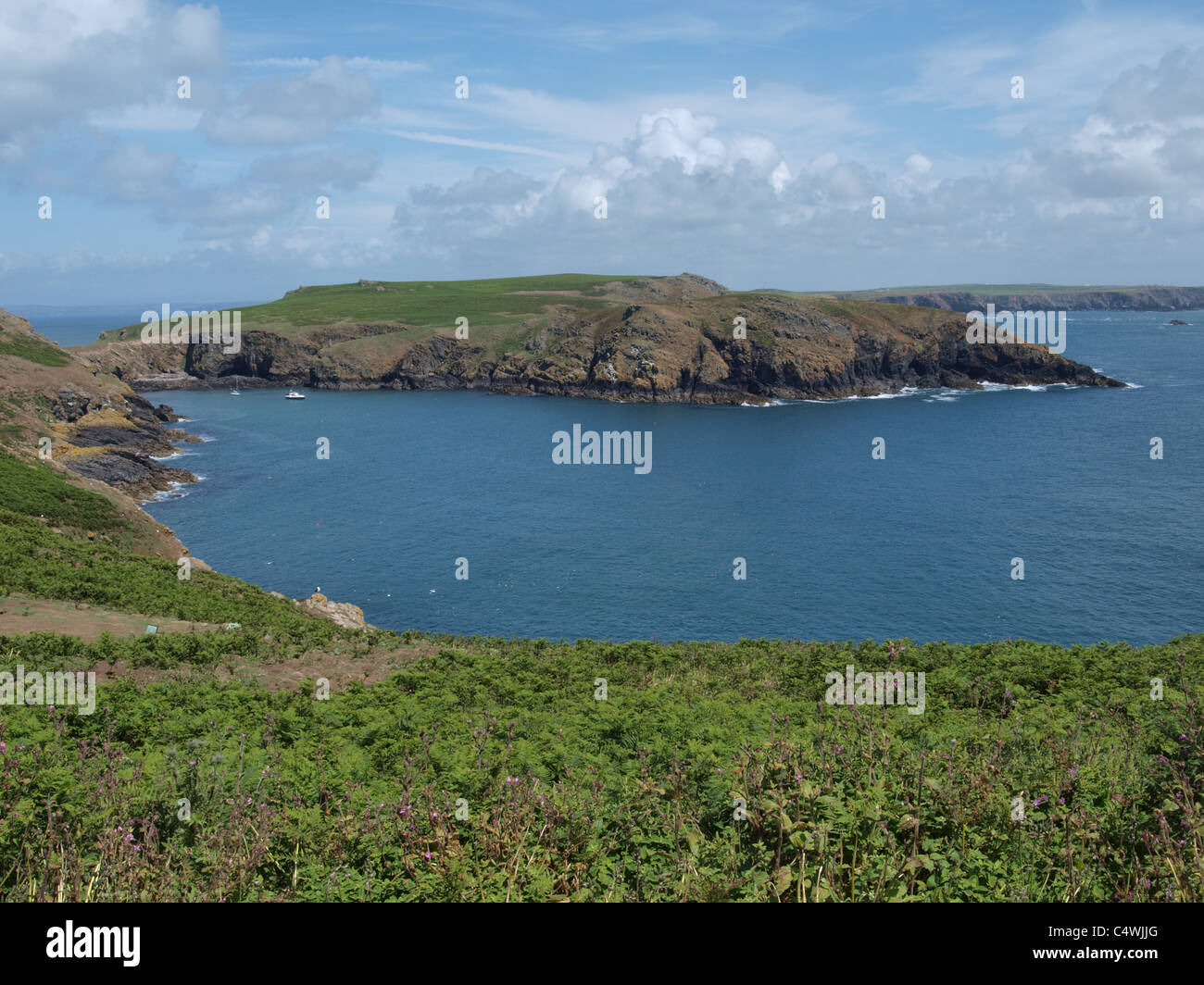 Skomer. Pembrokeshire. UK Stockfoto