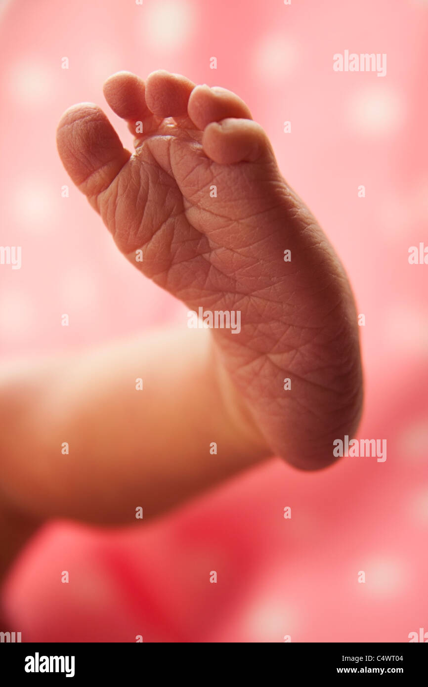 USA, Utah, Salt Lake City, Close-Up der Fuß des neugeborenen Mädchen (0-1months) Stockfoto
