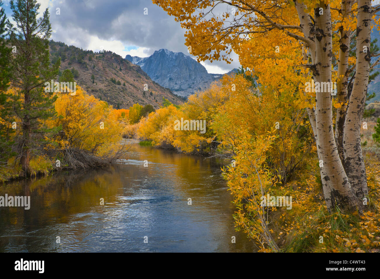 USA, California, Fluss durch östliche Sierra-Nevada-Berge Stockfoto