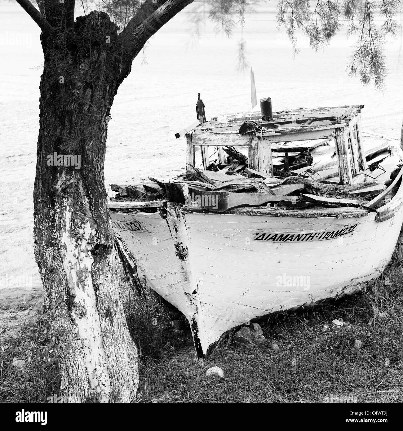 alten griechischen Fischerboot am Strand unter einem Baum links Stockfoto