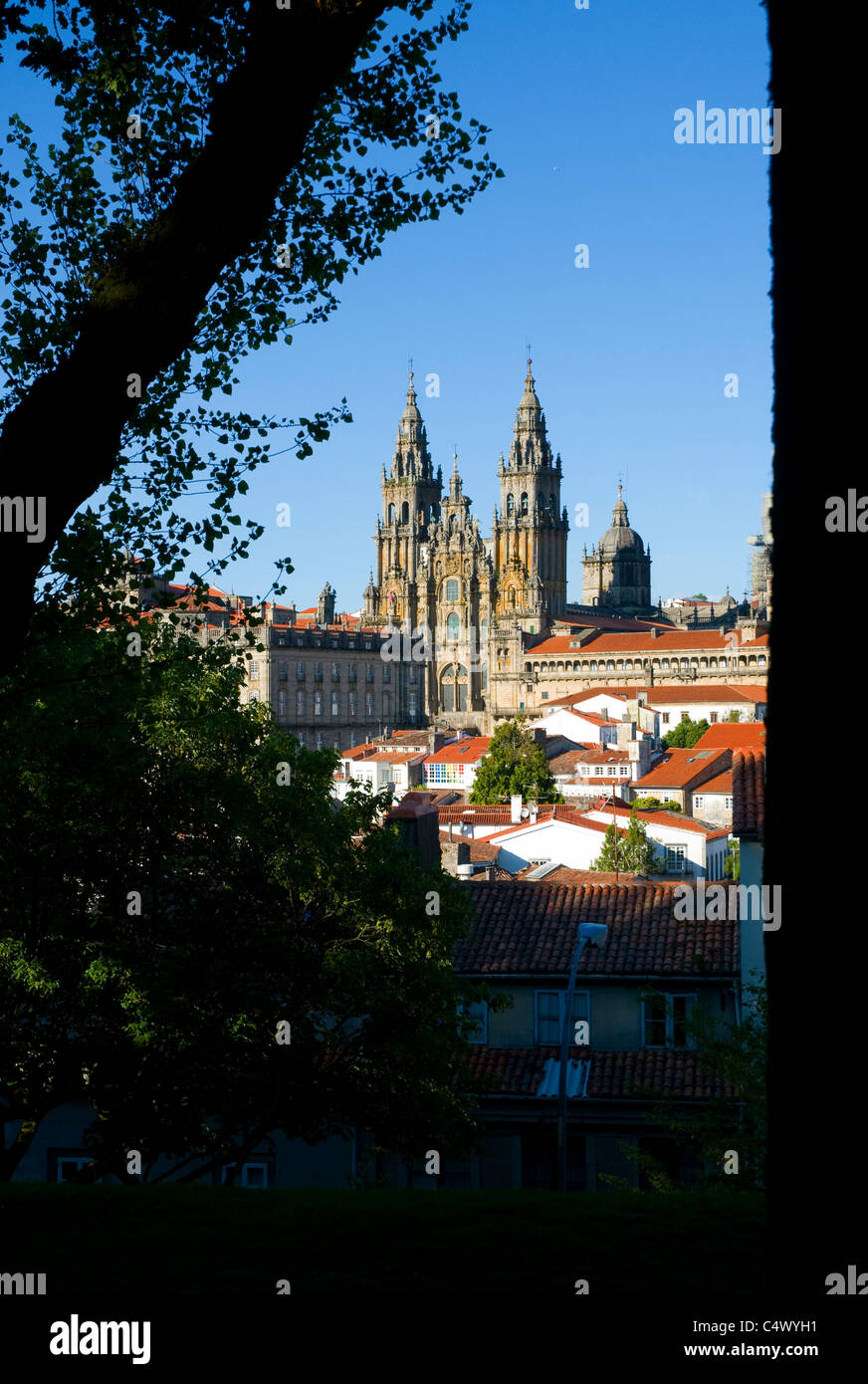 Kathedrale von Santiago De Compostela, durch Bäume gesehen Stockfoto