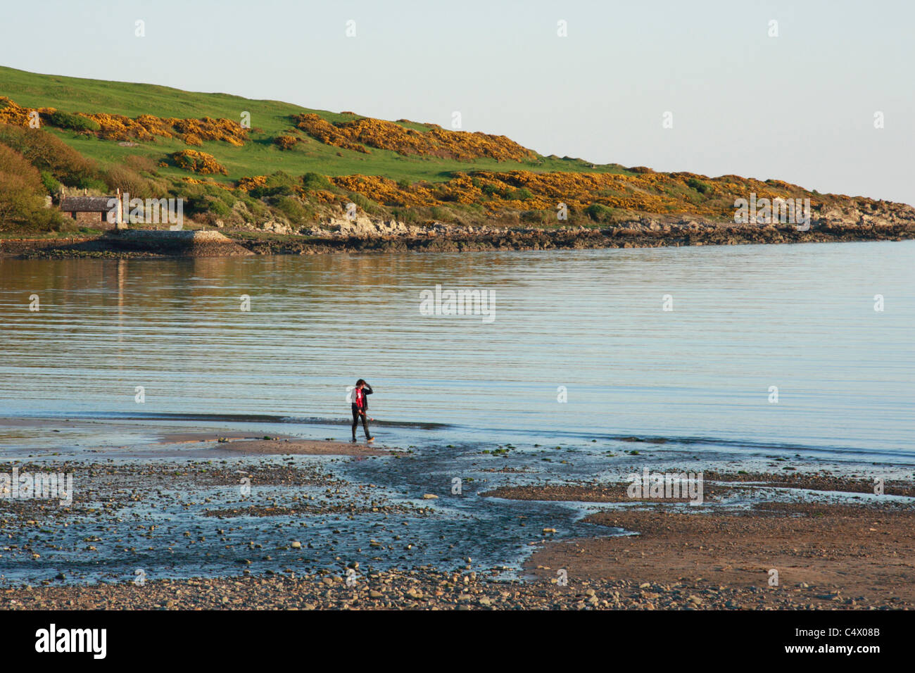 Person zu Fuß am Strand in Brighouse Bay in der Nähe von Kirkcudbright, Dumfries und Galloway, South West Schottland, Großbritannien Stockfoto