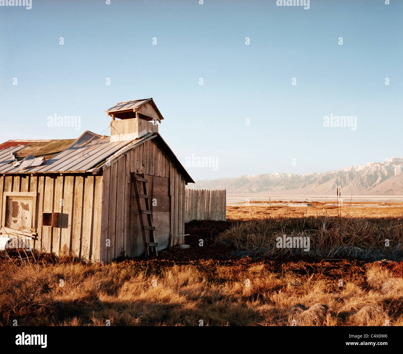 In der Nähe von Keeler, Owens Valley, Kalifornien Stockfoto