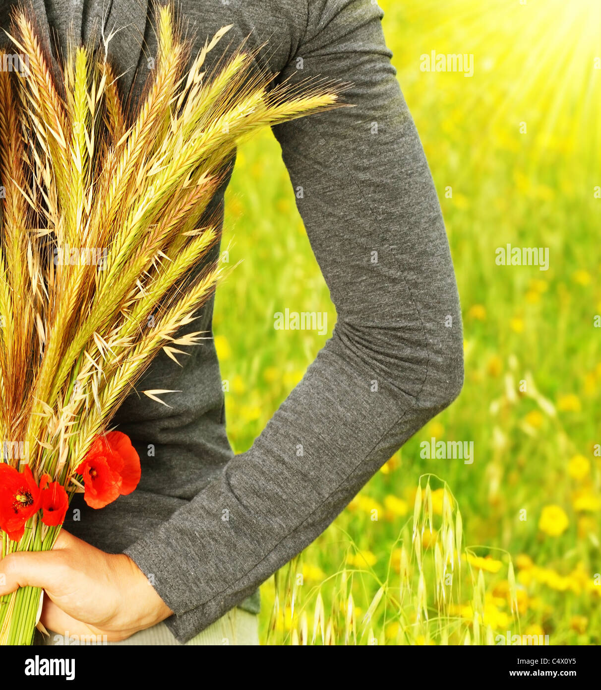Weizen-Blumenstrauß in Mädchen Hand, Ernte-Konzept Stockfoto