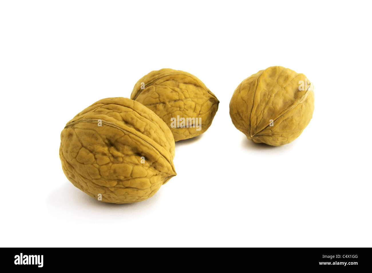 Walnuss auf dem weißen Hintergrund isoliert Stockfoto