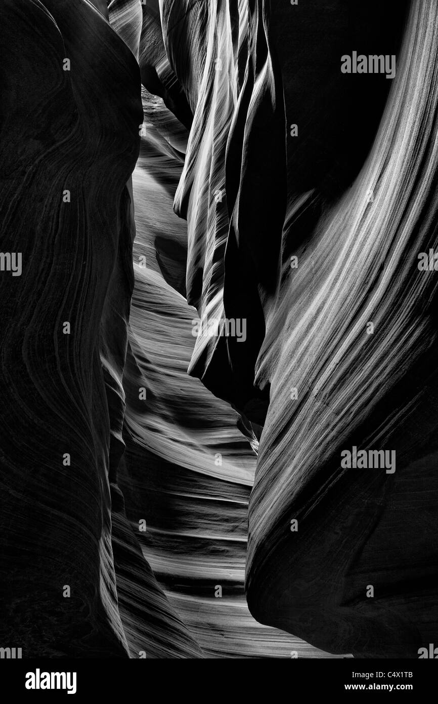 Streaming Sonnenlicht Highlights sculpted Muster in Sandsteinwände durch Hochwasser und Bodenerosion durch Wasser Antelope Canyon Arizona US Graustufen Kunstdruck geschnitzt Stockfoto