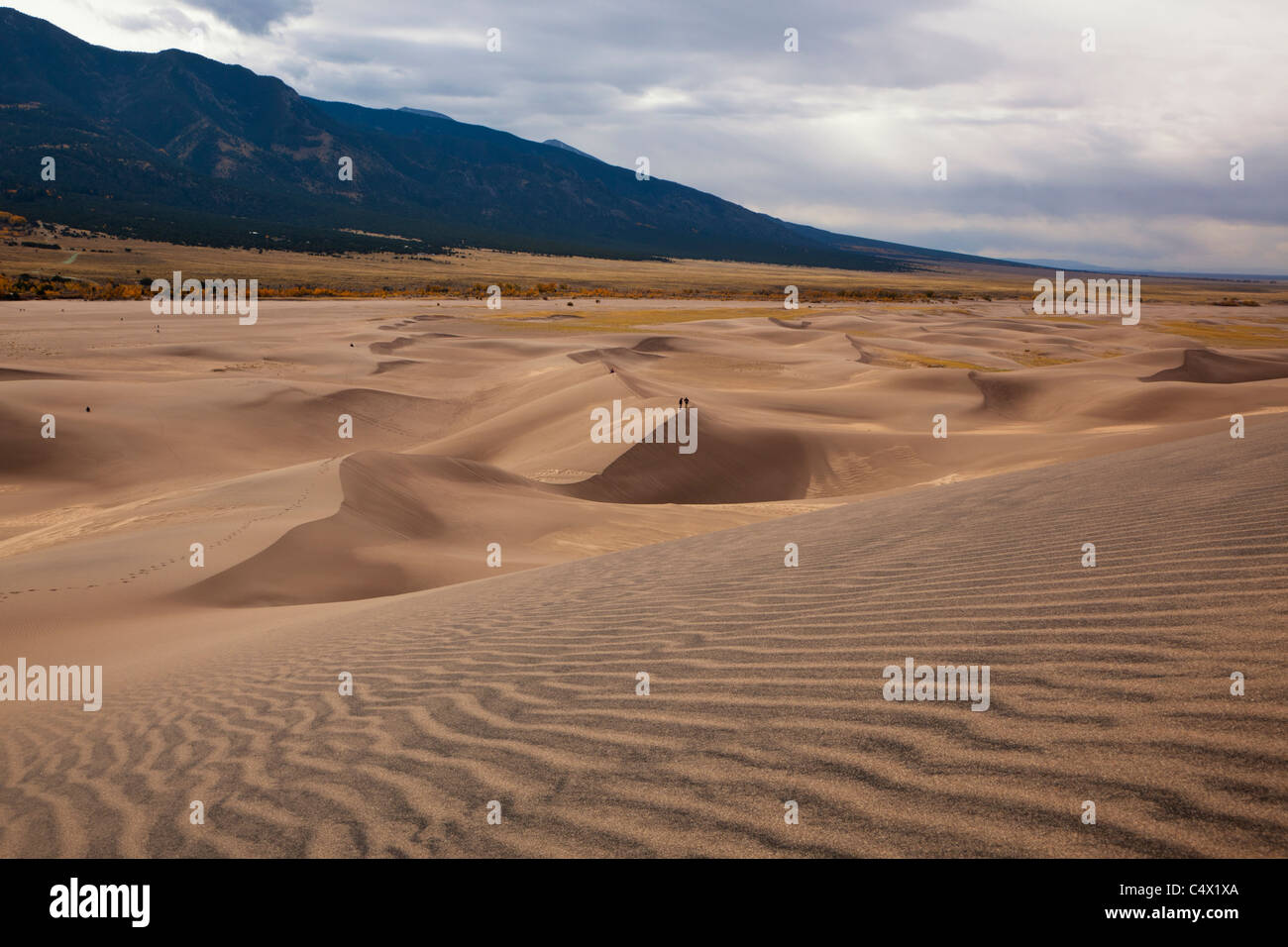 Panorama expansive rollenden roten Sanddünen Fußabdrücke in abstrakten Formen, Linien, Mustern, kleinen Menschen für Scale Great Sand Dune National Monument USA Stockfoto