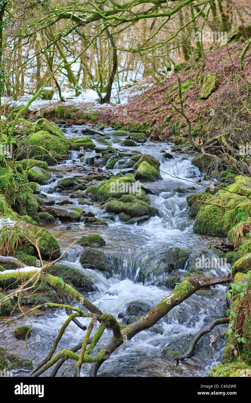 Stromaufwärts als der Schnee schmilzt auf dem Fluß Barle in der Nähe von Tarr Schritte Stockfoto