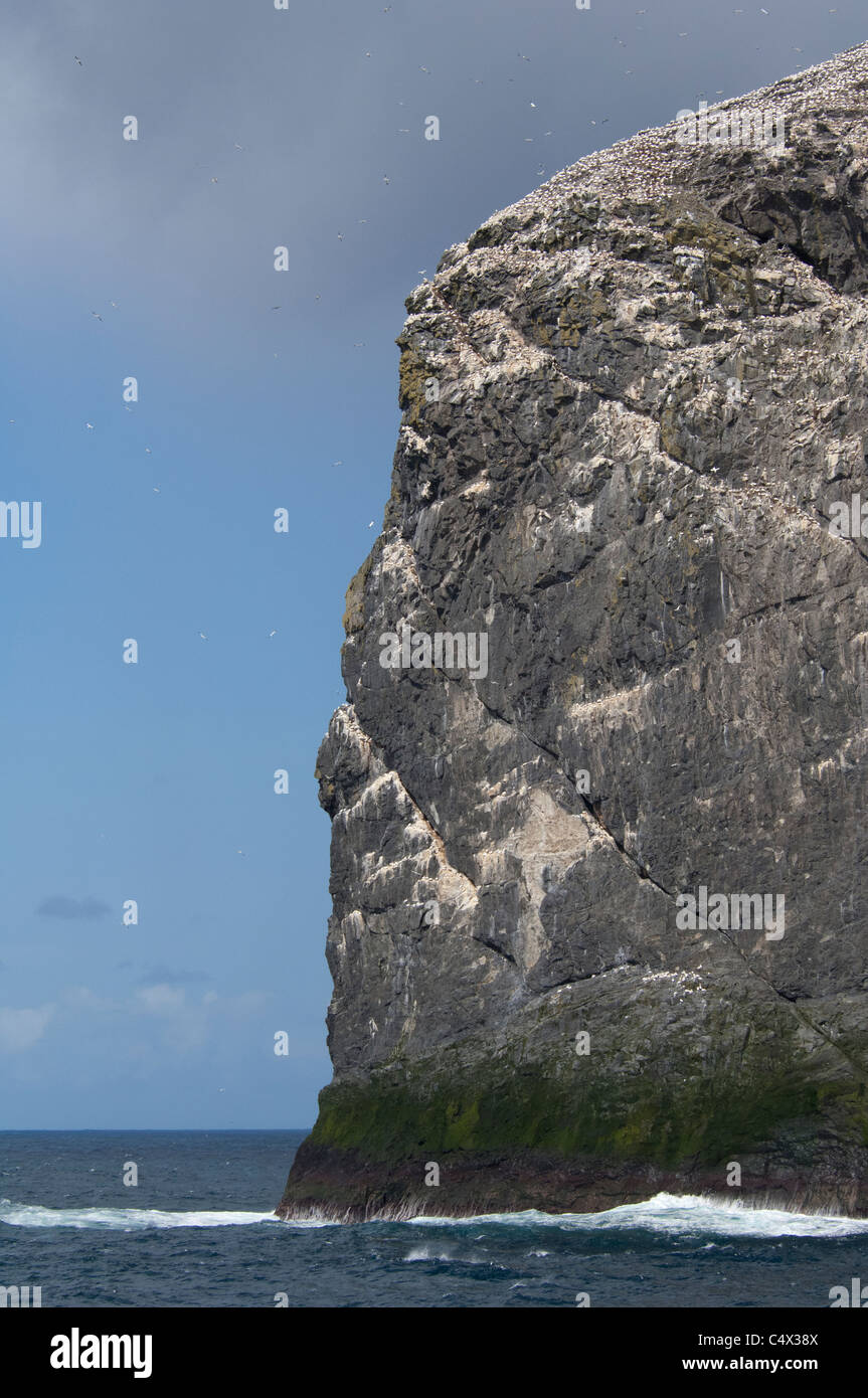 Schottland, St. Kilda Islands, äußeren Hebriden. Meer-Stack (Stac ein Armin) neben der Insel Boreray. Stockfoto