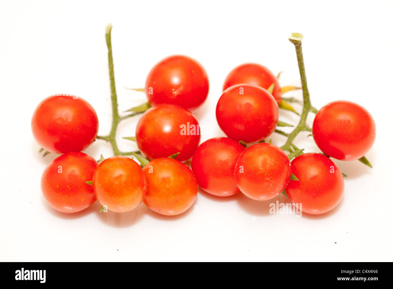 Closeup Aufnahme von Reife Kirschtomaten isoliert auf weiss. Stockfoto