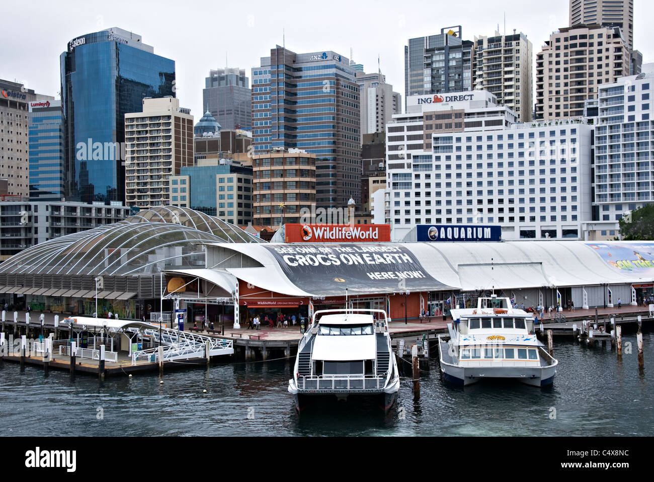 Über Cockle Bay Wildlife World und Sydney Aquarium Harbour Cruise Boote am Darling Harbour, New South Wales Australien Stockfoto