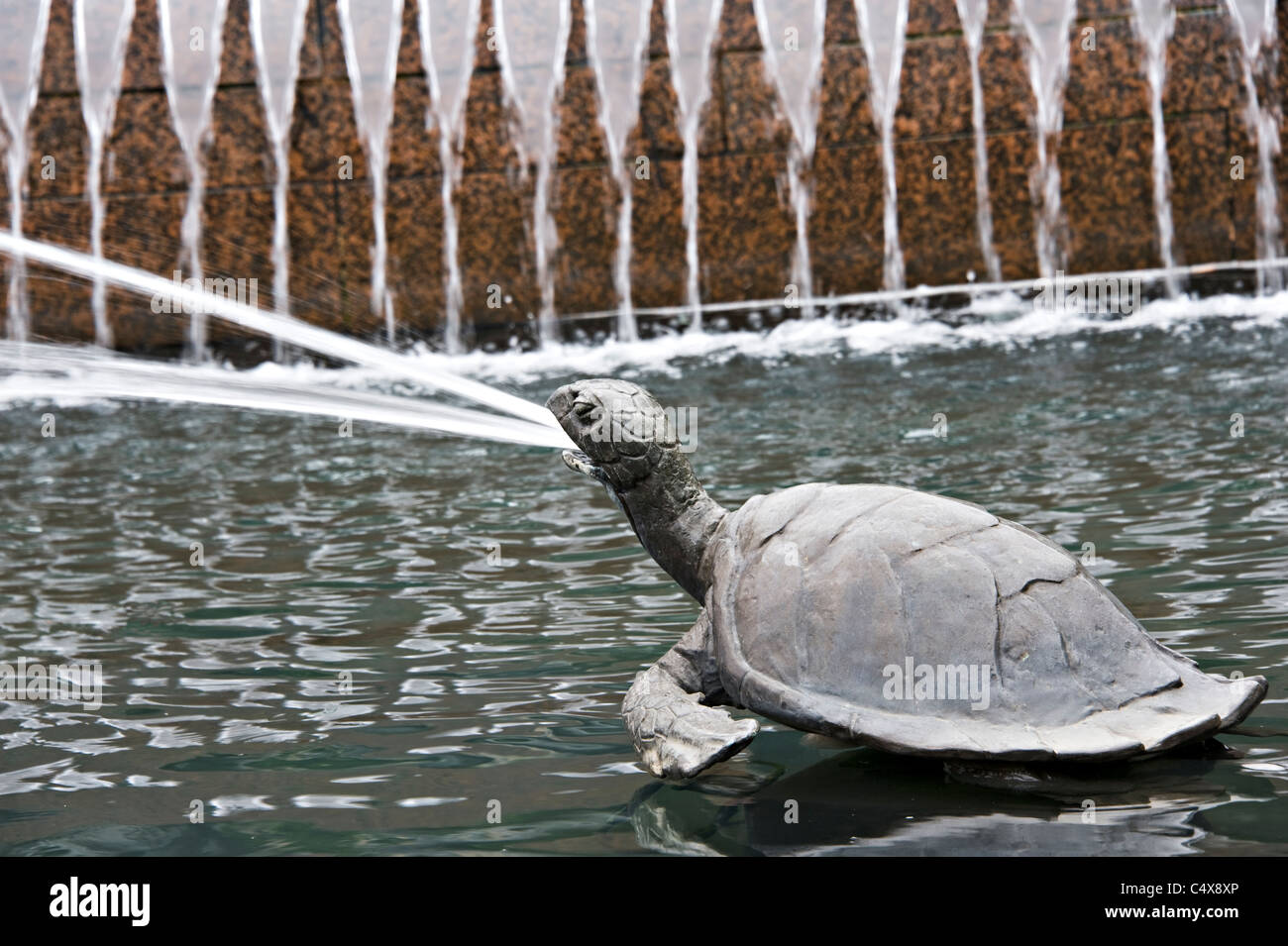 Eine Bronzeskulptur von einer Schildkröte mit Wasser Jet ist Teil des Archibald Springbrunnen im Hyde Park Sydney New South Wales Australien Stockfoto