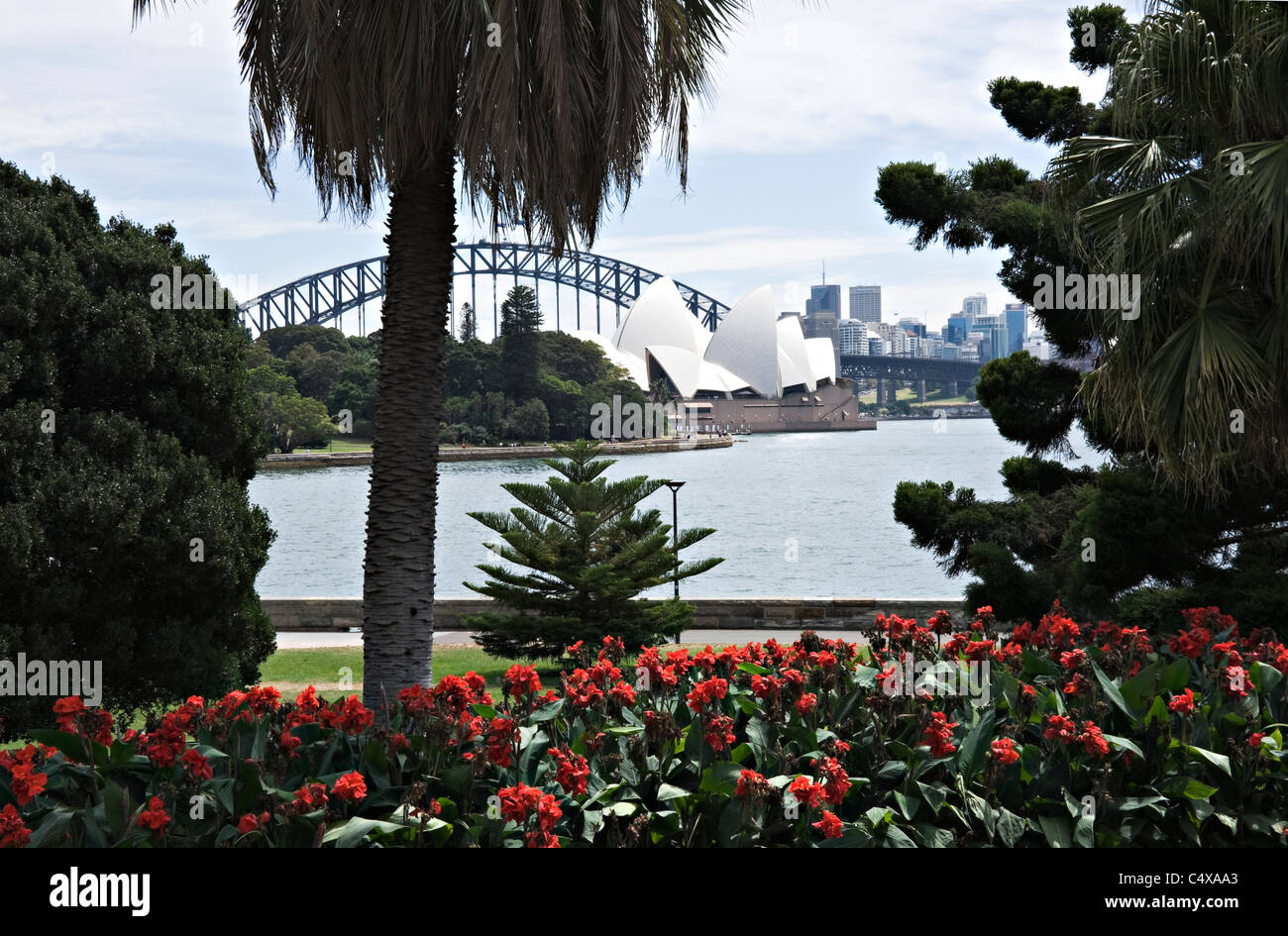 North Sydney, Opera House und Harbour Bridge mit roten Canna Blüten in Grenze bei Royal Botanic Garden NSW Australia Stockfoto