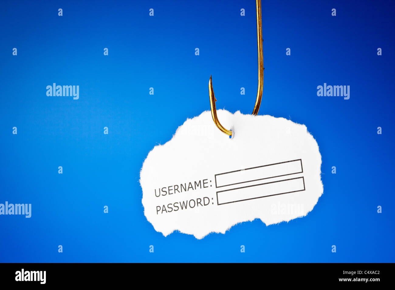 Benutzername und Passwort an einem Angelhaken. Konzeptuelles Bild über das Risiko des Diebstahls von Internetidentitäten, auch bekannt als Phishing. Stockfoto