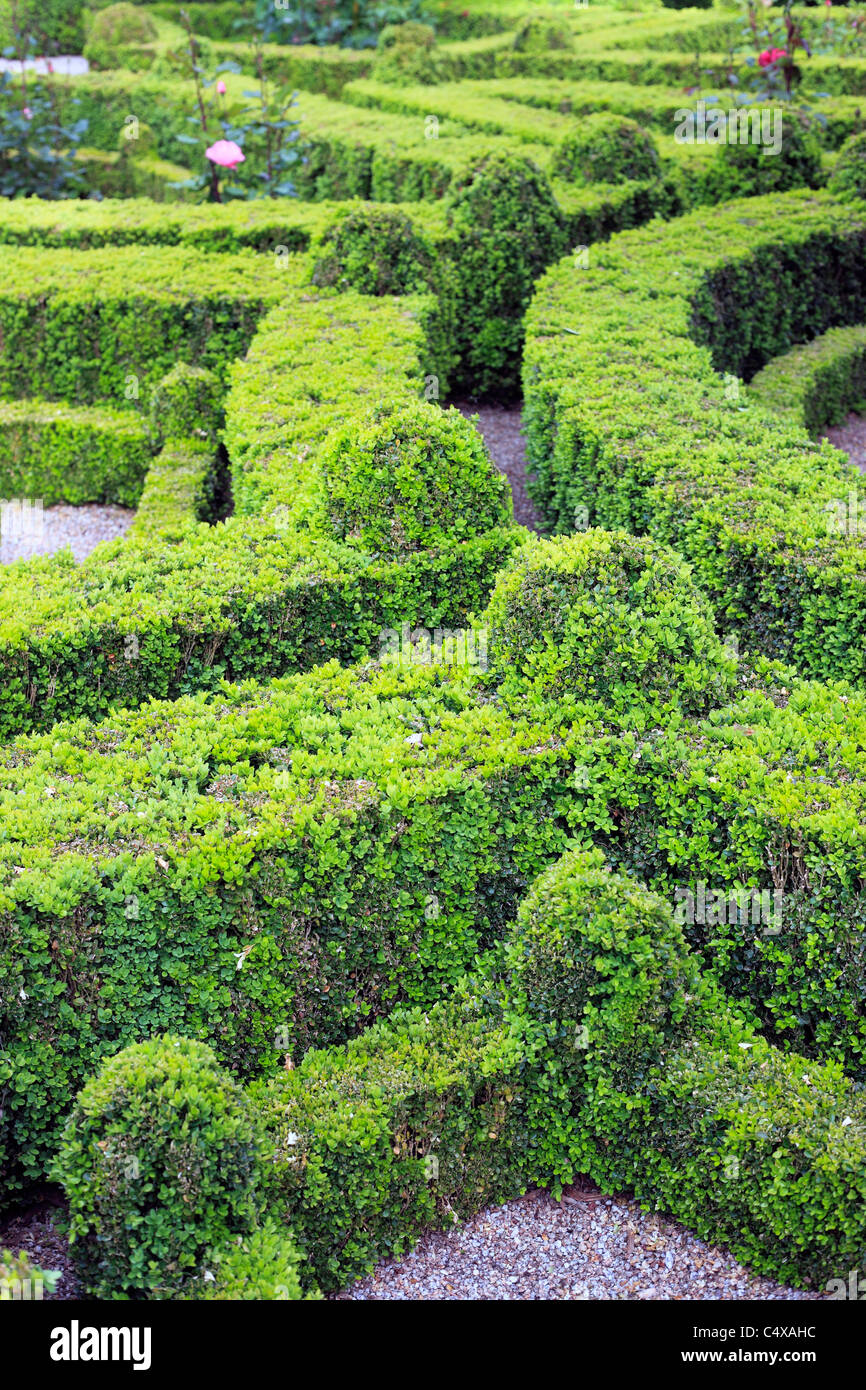 Park, Palais Mateus (Solar de Mateus), in der Nähe von Vila Real, Portugal Stockfoto