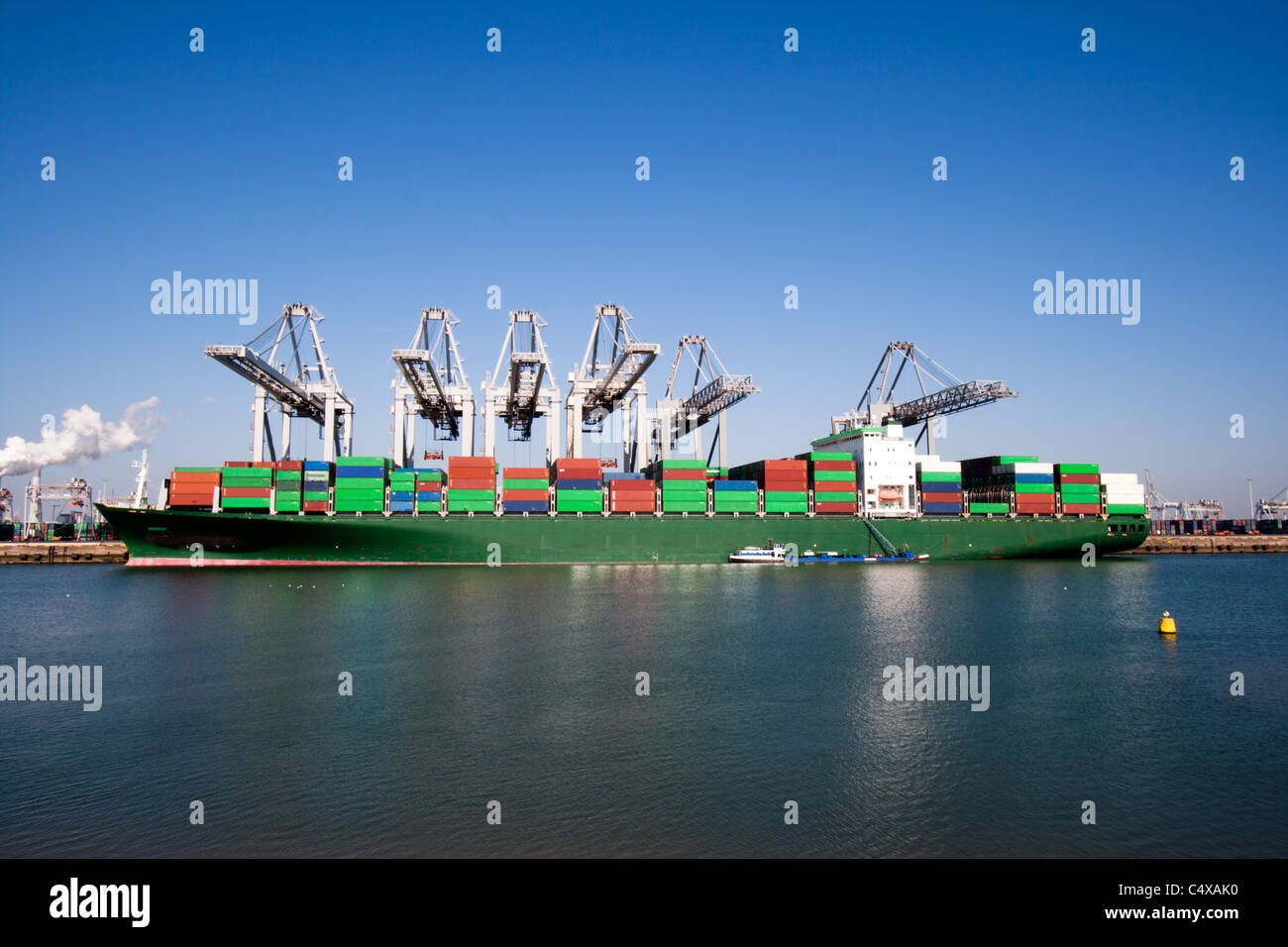 Containerschiff und Kräne im Hafen Stockfoto