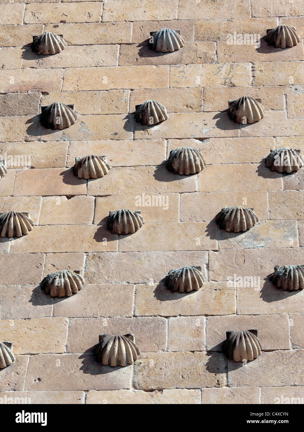 Wand der Casa de Las Conchas (Haus der Muscheln), Salamanca, Kastilien und Leon, Spanien Stockfoto