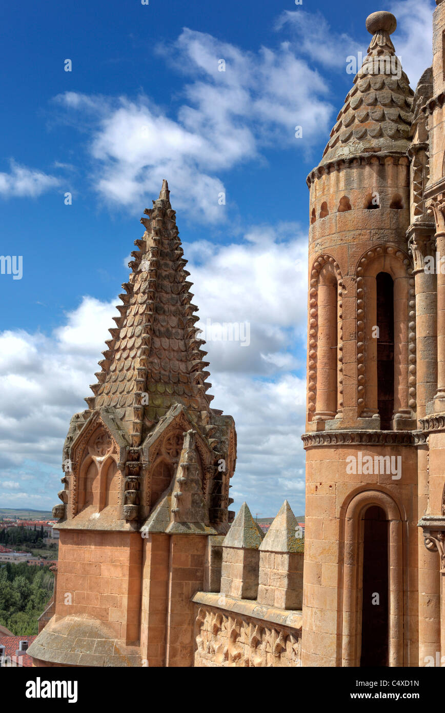 Alte Kathedrale (Catedral Vieja de Santa Maria), Salamanca, Kastilien und Leon, Spanien Stockfoto