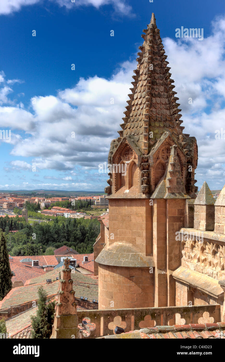 Alte Kathedrale (Catedral Vieja de Santa Maria), Salamanca, Kastilien und Leon, Spanien Stockfoto