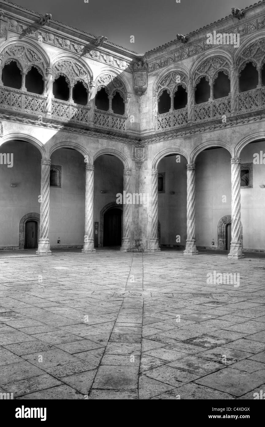 Colegio de San Gregorio, Nationalmuseum für Bildhauerei, Valladolid, Kastilien und Leon, Spanien Stockfoto