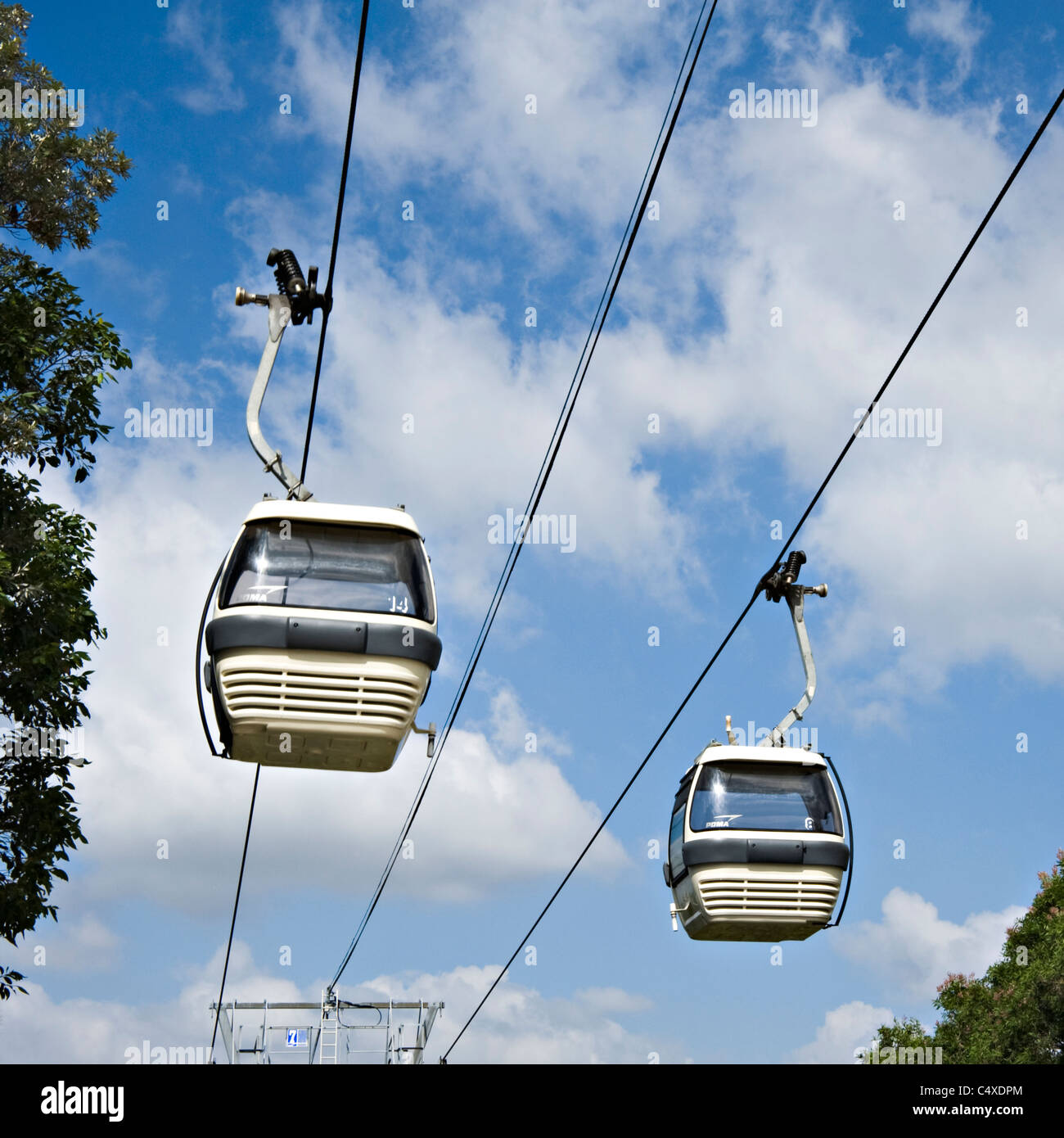 Die Sky Safari Cable Car Fahrt im Taronga Zoo Sydney New South Wales Australien Stockfoto