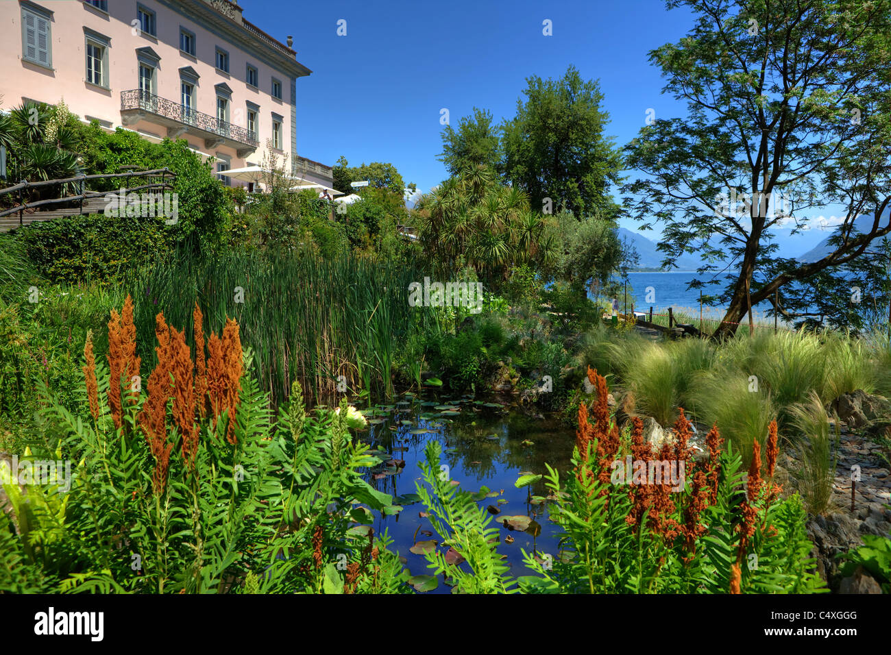 Blick auf die Villa und am Teich des Botanischen Gartens der Isole di Brissago im Tessin Stockfoto