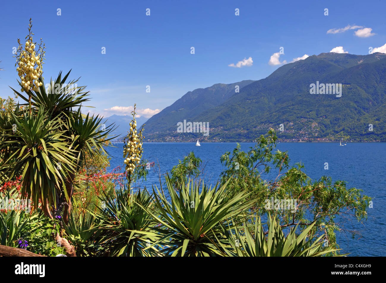 Blick auf den Lago Maggiore vom Botanischen Garten der Isole di Brissago Stockfoto