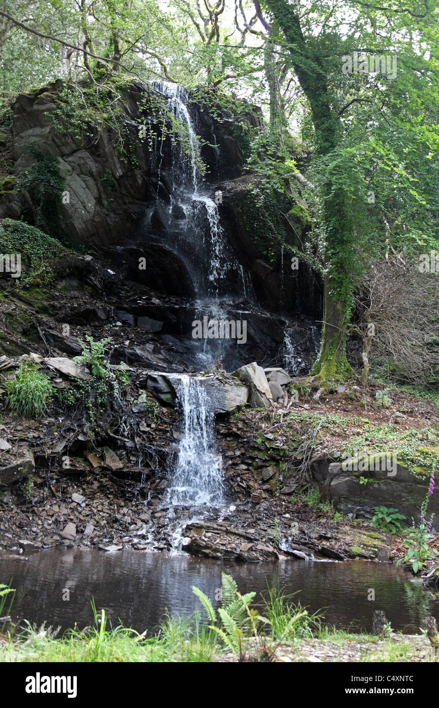 Wasserfall, Kells Bay Gardens, exotischen Gärten auf dem Ring of Kerry, Co. Kerry. Irland Stockfoto