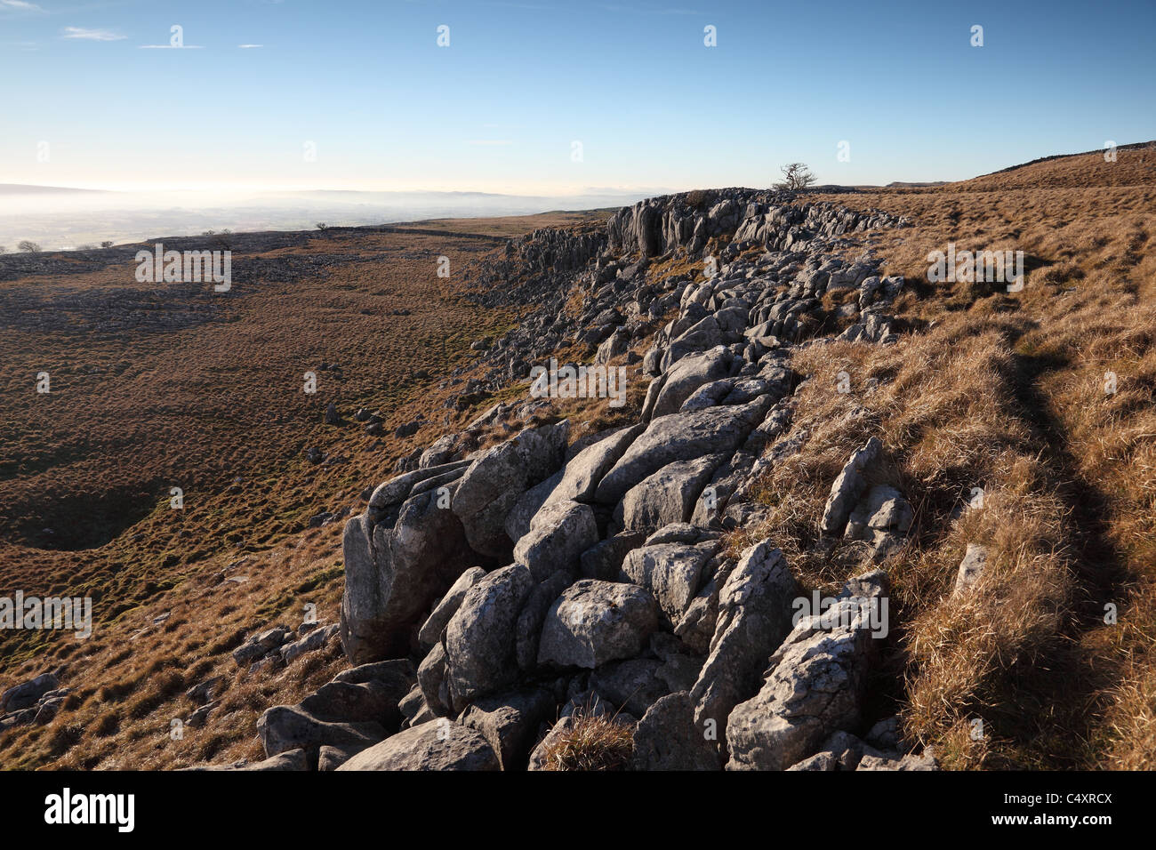 Kalksteinnarbe auf Waage Moor Twisleton Narben Yorkshire Dales UK Stockfoto