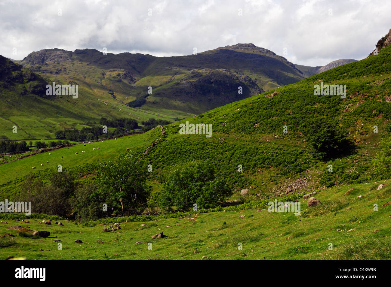 Pike o ' Blisko aus Mickleden in der Nähe von Langdale im Lake District National Park, Cumbria, England. Stockfoto