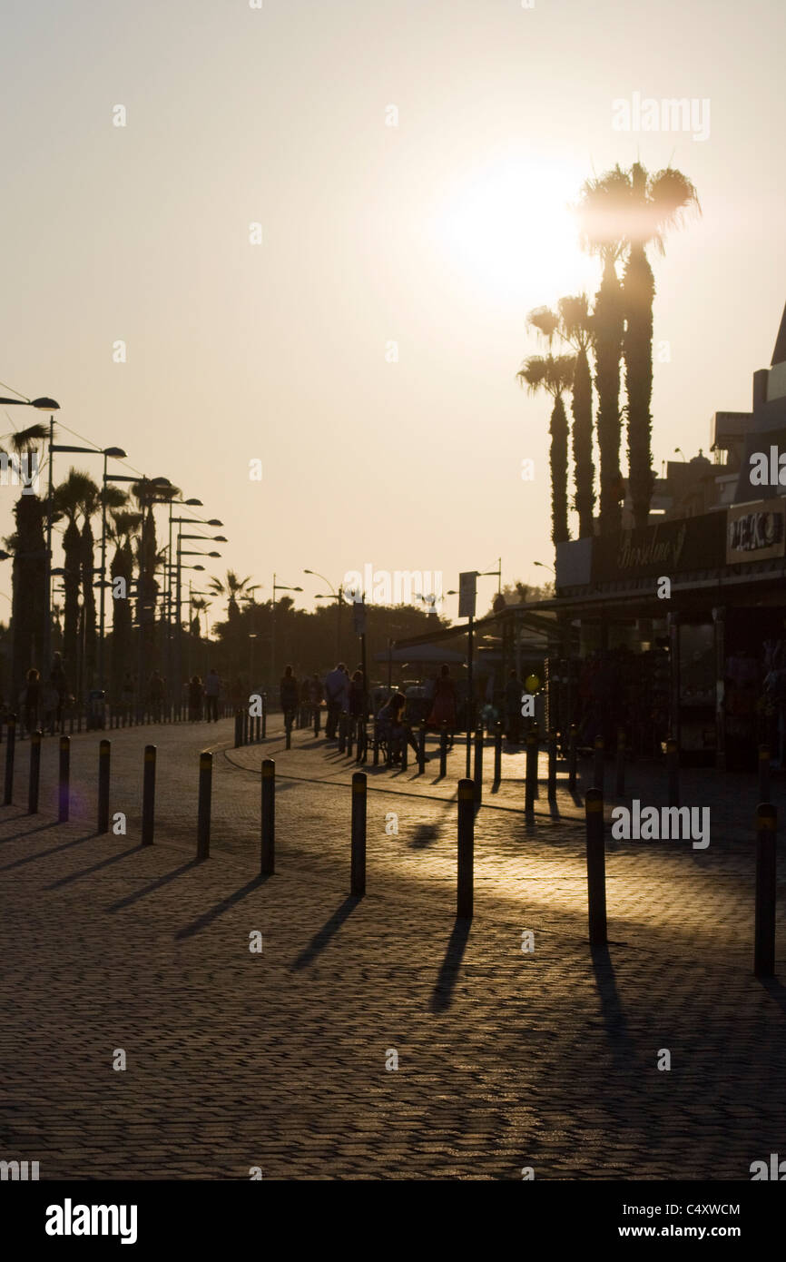 Sonnenuntergang über den Palmen in den Straßen der Stadt von Paphos Zypern Stockfoto