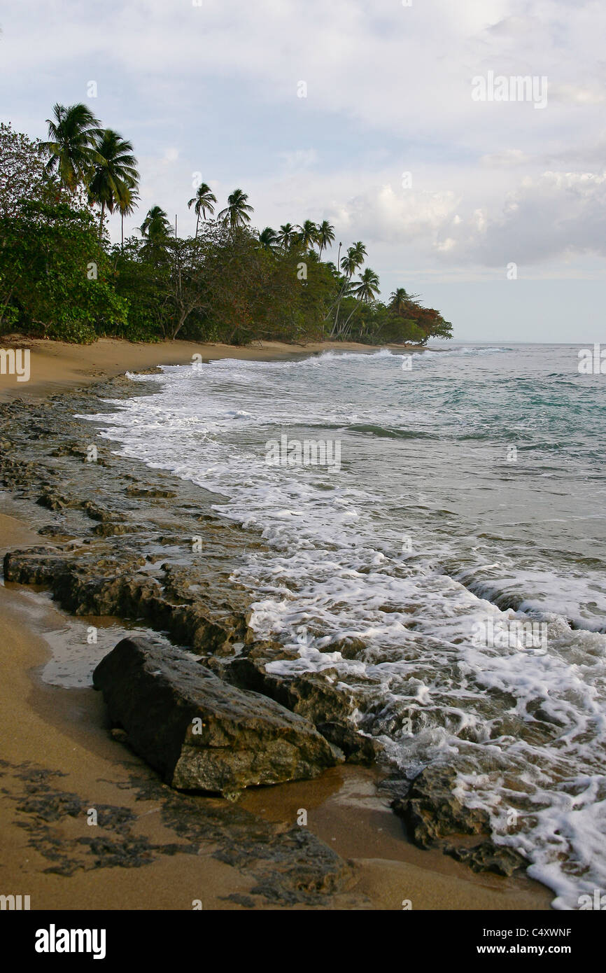 Strand-Szene in Puerto Rico Stockfoto