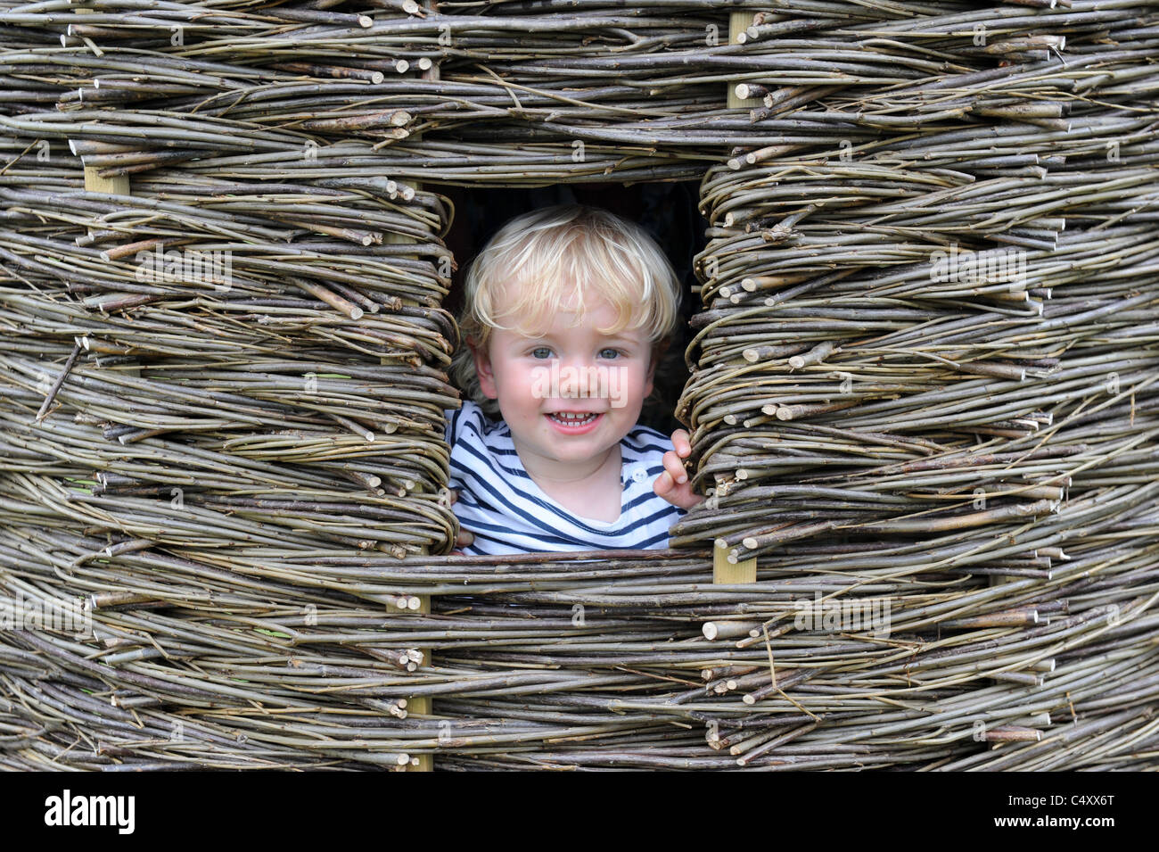 Kleiner Junge peering aus Garten Wigloo gemacht von Weide-Shootings Stockfoto