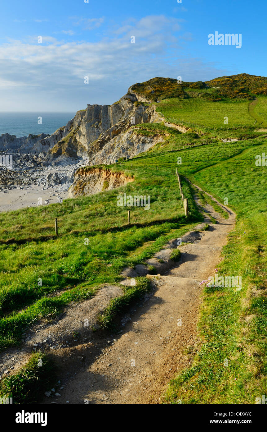 Der South West Coast Path entlang der Klippe bei Rockham Bay, Mortehoe, Devon, England. Stockfoto