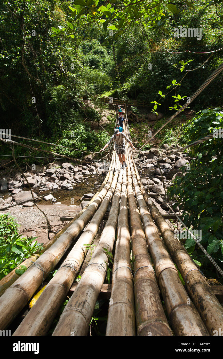 Bambus-Brücke bei dunklen Blick fällt, St. Vincent & The Grenadines. Stockfoto