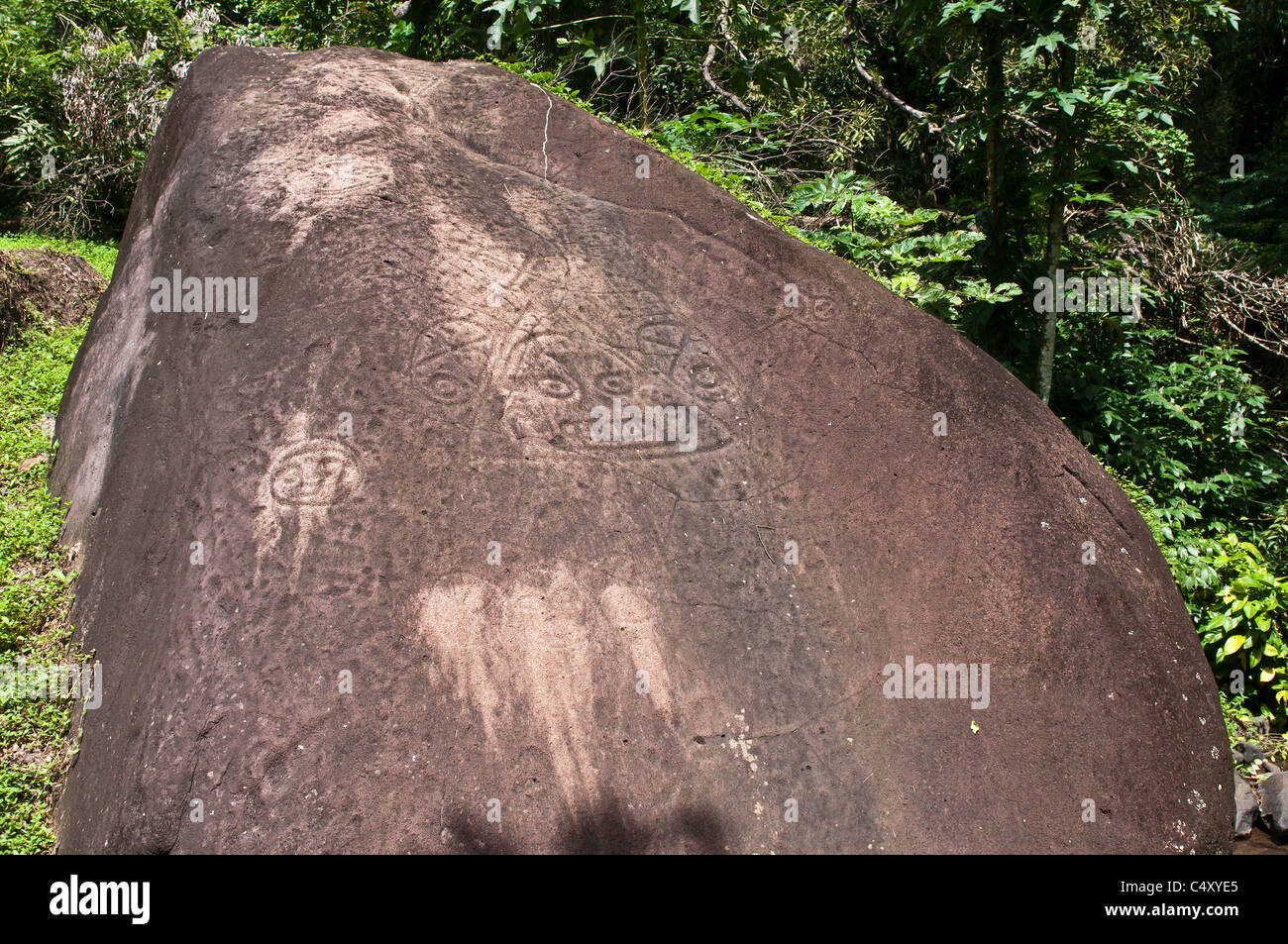 Petrogylph Felsen im Layout Petroglyph Park, St. Vincent & der Grenadinen. Stockfoto