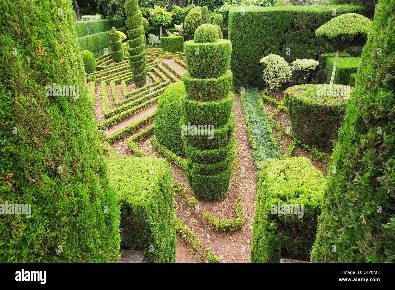 Formschnitt-Hecken, Botanischer Garten, Funchal, Madeira, Portugal Stockfoto